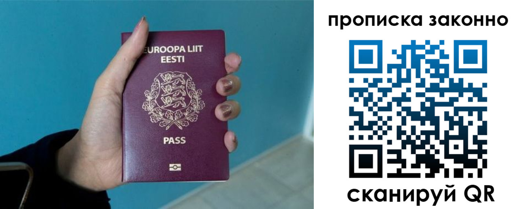 прописка гарантия в Хвалынске